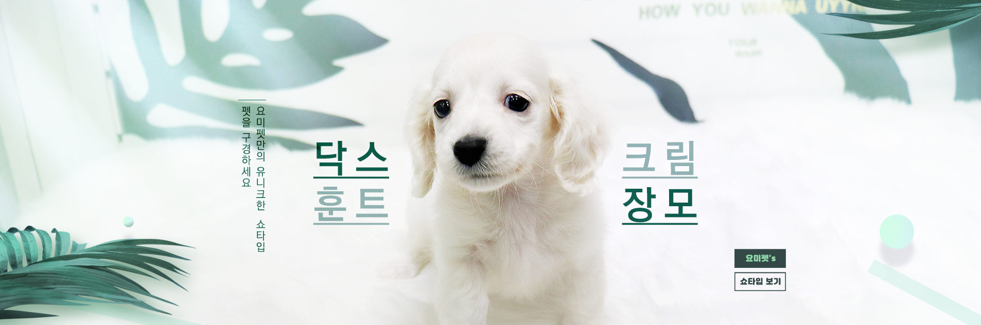 메인슬라이드