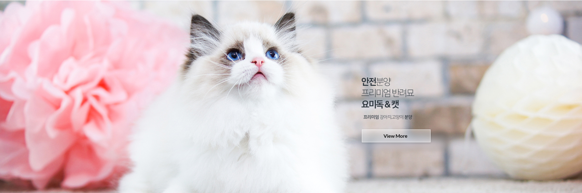 메인슬라이드