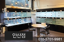 샵이미지