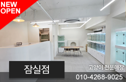 샵이미지