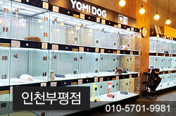 샵이미지