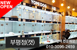 샵이미지